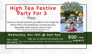 High Tea Festive Party for 3