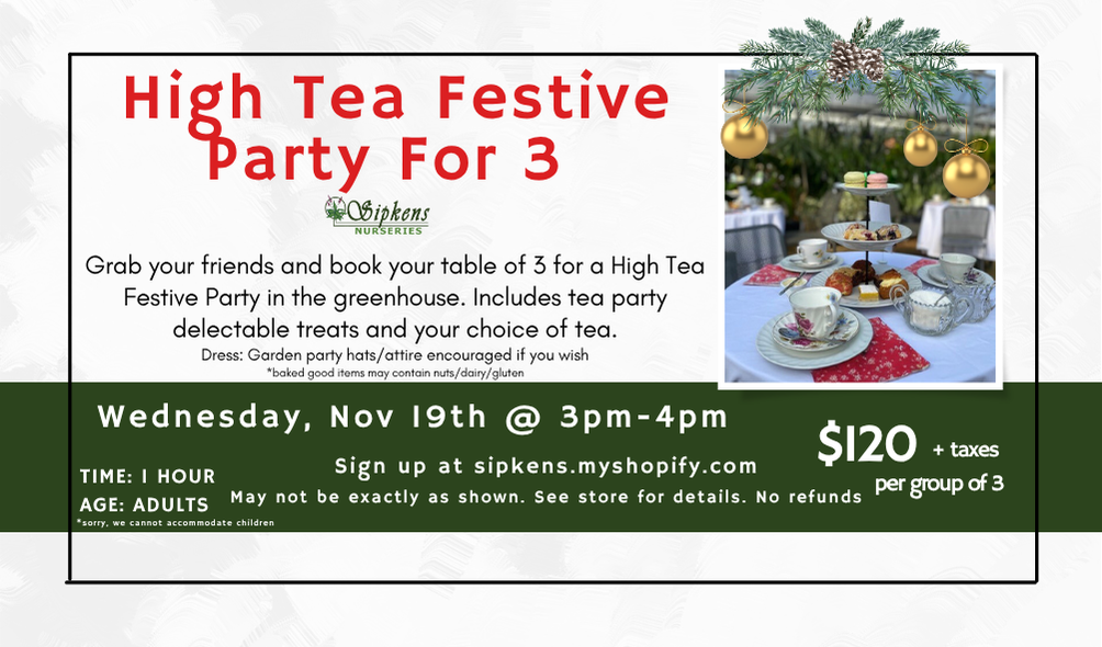 High Tea Festive Party for 3