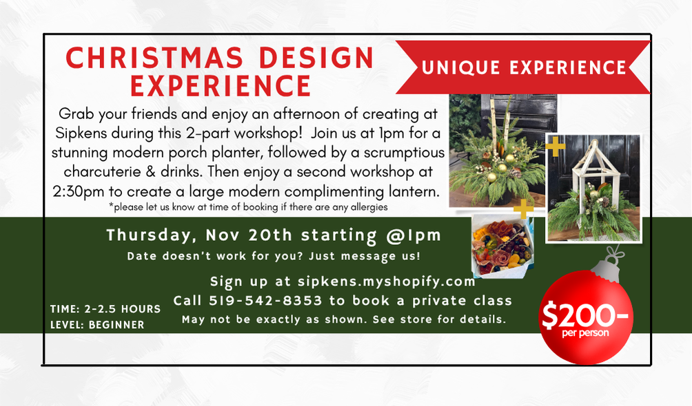 Christmas Design Experience