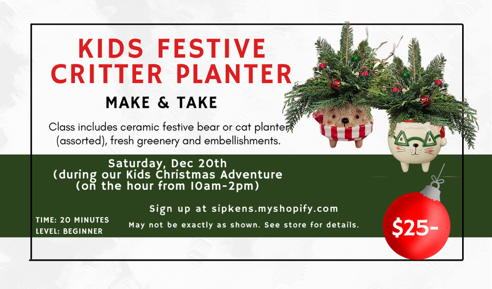 Kids Festive Critter Planter Make and Take