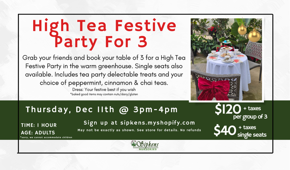 High Tea Festive Party for 3
