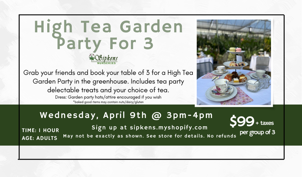 High Tea Garden Party for 3 - April 9, 2025