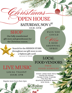 Christmas Open House - Free