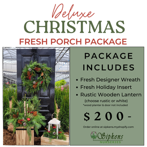 Deluxe Christmas Fresh Porch Package