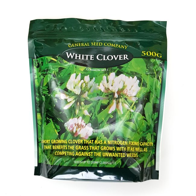 Seed White Clover
