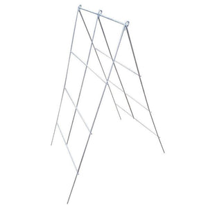 A Frame Trellis