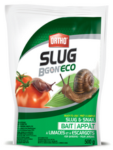 Load image into Gallery viewer, Slug Bgon - Ortho
