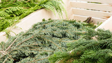 Load image into Gallery viewer, Fresh Christmas Greenery

