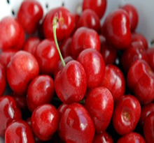 Load image into Gallery viewer, Pre-Order Cherry Trees

