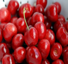 Pre-Order Cherry Trees