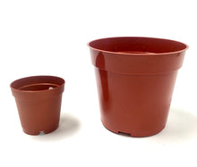 Load image into Gallery viewer, Plastic Pots
