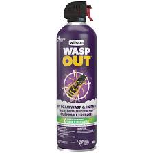 Wasp Out - Wilson